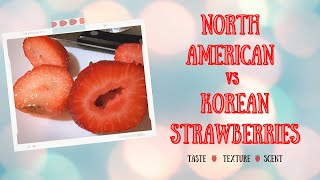 North American VS Korean Strawberries | Taste Test | YiksRUs