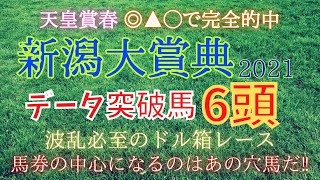 新潟大賞典2021【データ予想】先週から絶好調‼︎波乱必至のドル箱レースで波乱を演出している馬に共通している過去データも発見‼︎今年は該当が1頭のみ‼︎