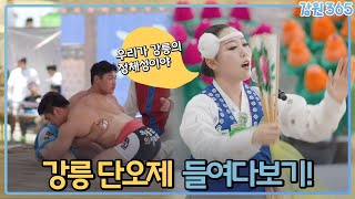 강릉하면 단오제지! 천년을 지켜온 힘 '강릉 단오제!' / MBC강원영동 230712 방송