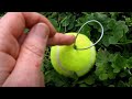 Using a tennis ball to raise a wire antenna