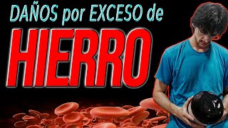 PELIGRO: EXCESO de HIERRO en el ORGANISMO