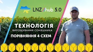 Технологія вирощування соняшника. Порівняння 4 схем захисту  | LNZ Hub 5.0