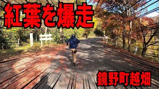 【CBR250RR】岡山の奥地『鏡野町越畑』を爆走！？