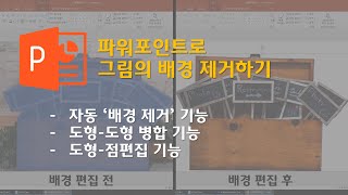 [파워포인트] 그림의 배경 제거하기