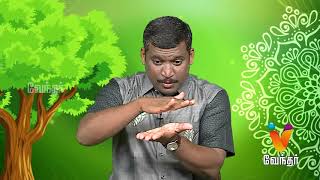 எளிதாக சுகப்பிரசவம் நடைபெற -  Healer Baskar (07/03/2018) | [Epi-1284]