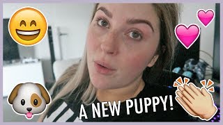 LEWIE AND ZEUS NEW BFFL 🐶 Vlog 605