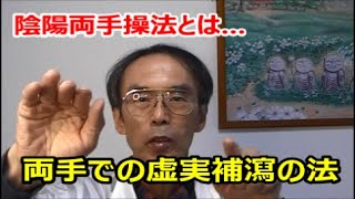 池袋/経絡指圧　陰陽両手操法とは何か…；虚実補瀉　ツボ　漢方　病気　ケガ　セミナー