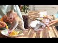 Brainy Foodie Maddox Rush To Finish A Big Jackfruit And Keep A Small One For His Mom