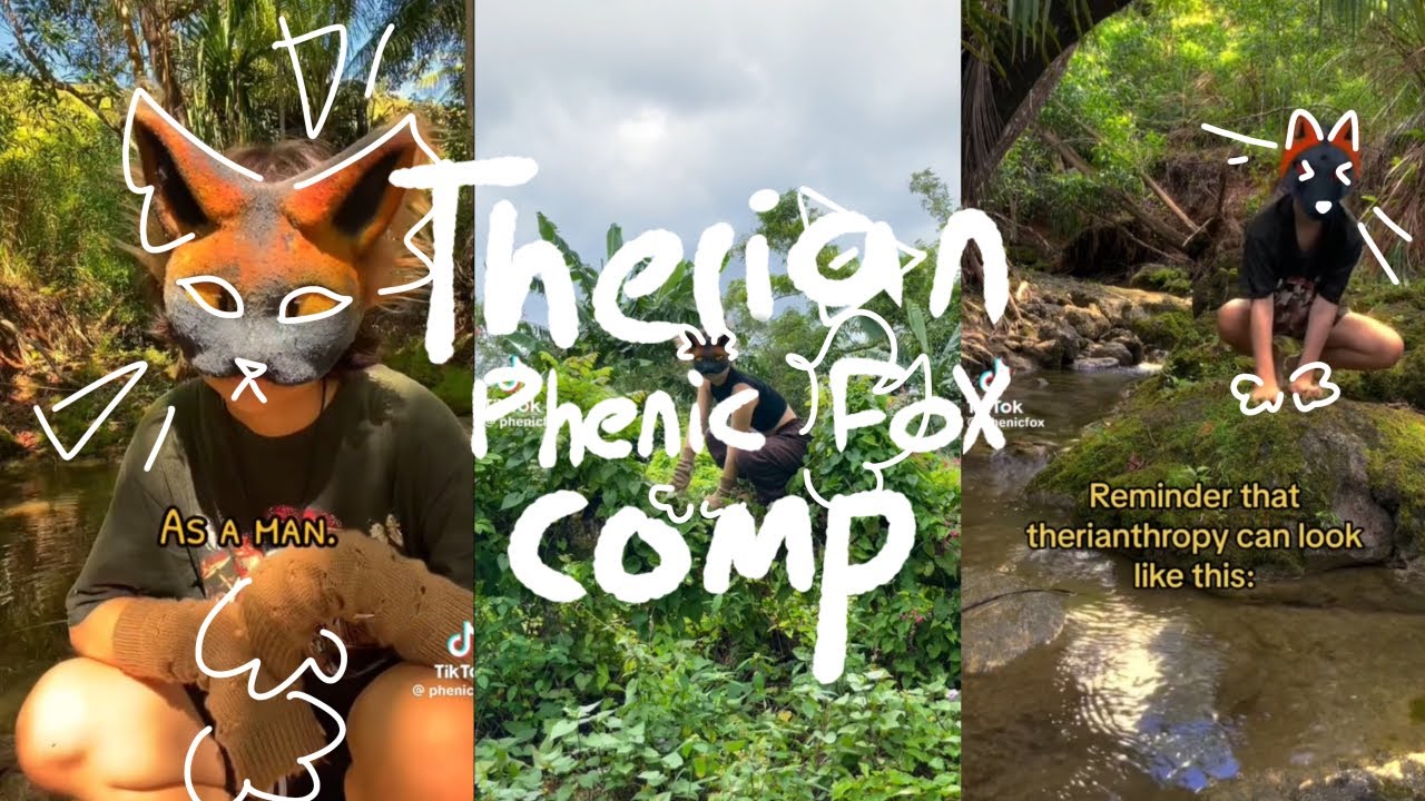 Therian Compilation Phenic Fox Requested Youtube