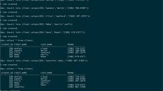 Enforcing the Not Null Constraint