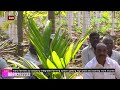 single formula to get double income in areca nut farm ಅಡಿಕೆ ತೋಟದಲ್ಲಿ ಆದಾಯ ದ್ವಿಗುಣಕ್ಕೆ ಗುಟ್ಟು