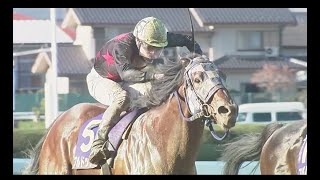 【浦和競馬】ＪＢＣスプリント2019　勝利騎手インタビュー