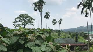 Sibsoo Gola Bazzar | Oldest town in southern Bhutan | Samtse Bhutan |