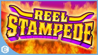 Reel Stampede