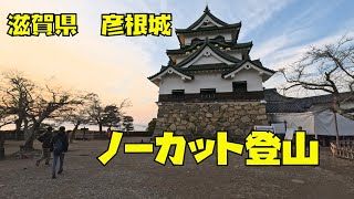 【2024年年末】滋賀県彦根城をノーカットで登山します！