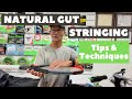 Racquet Stringing [Natural Gut Stringing Tips & Techniques]