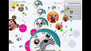 【Agar.io Mobile】Duo Server Takeover