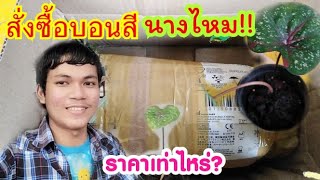 พาชมบอนสีนางไหม!! ที่สั่งซื้อ ราคาเท่าไหร่?​ แพงไหม? คุ้มไหม? แพ็คมายังไง? ซื้อมาทำไม?