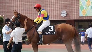 札幌競馬　パドック　10R 摩周湖特別（2023.7.29）