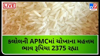 Mandi : કલોલની APMCમાં ચોખાના મહત્તમ ભાવ રૂપિયા 2375 રહ્યા | APMC |  GUJARAT  | Tv9News