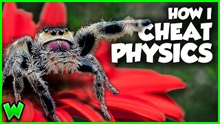 Everything You Didn't Know About Spiders