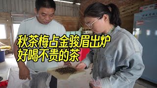 秋茶梅占金骏眉刚出炉，秋韵显好喝不贵，阿梅到茶厂拿下150斤