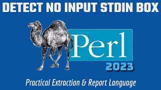 Perl Detect No Input In STDIN Entry - 2 MUST KNOW METHODS 2023
