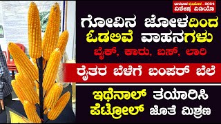 ಗೋವಿನ ಜೋಳಕ್ಕೆ ಡಿಮ್ಯಾಂಡ್‌ | Corn Ethanol | ಇಥೆನಾಲ್‌ ತಯಾರಿಸಿ ಪೆಟ್ರೋಲ್‌ ಜೊತೆ ಮಿಶ್ರಣ | Maize Farming