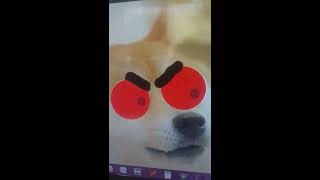 Doge VS Dusttale Sans