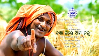 CHASA GHARE || ODIA FARMER SONG || RAJESH || ARUN NAYAK || BABU PRAMOD || ANSHUMAN CREATIVES