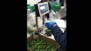 Packing Green Peppers with MARCO's Table Top CheckMaster