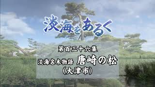 淡海をあるく　唐崎の松　大津市