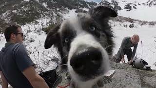 Skiing Left Gully at Tuckerman Ravine • April 15, 2023