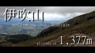 【初心者登山】伊吹山 Climbing Ibuki mountain