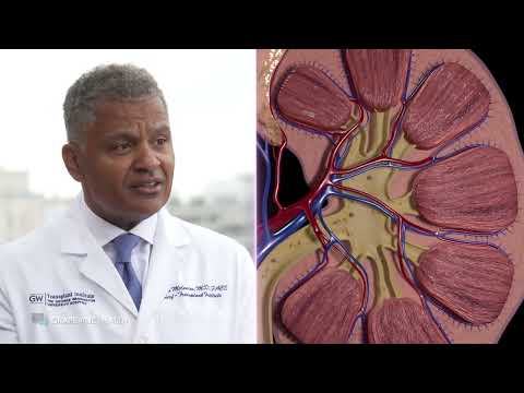 Can you live without your kidneys?