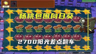 植物大战僵尸：杨桃包围向日葵，2700三杨桃还差一点点翻车