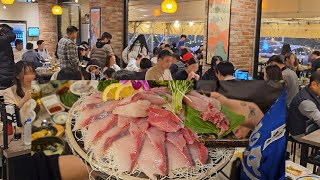 조선 최고의 검술! 오픈 6개월 만에 지역을 평정한 회 전문점 팔도어가!!! Sashimi restaurant