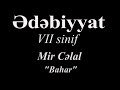 Ədəbiyyat 7 mir cəlal bahar