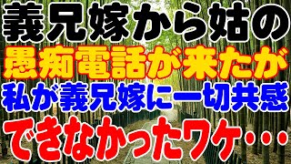 【スカッと】義兄嫁から姑の愚痴電話が来たが、私が義兄嫁に一切共感できなかったワケ・・・