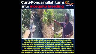 The Curti-Ponda nullah has become a breeding ground for mosquitoes and a dumping spot for garbage