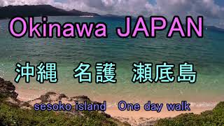 Okinawa  JAPAN  　　沖縄　名護　瀬底島　sesoko island   One day walk