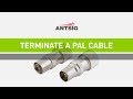 ANTSIG : How to terminate a PAL Male  Female connector onto coaxial cable