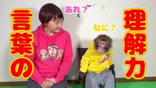 くぅちゃんはもう人間なんじゃないかって思うんです。