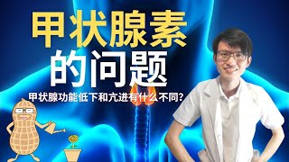 甲状腺素的问题 |【甲状腺素】花生健康医药 EP101