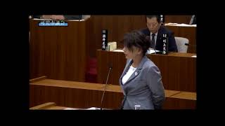 田原議員一般質問（可児市議会　平成30年第1回定例会）