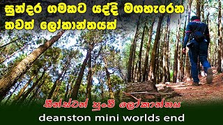 මෙන්න තවත් ලෝකාන්තයක් | deanston mini worlds end | #meemure vlog 01| මීමුරේ ඩීන්ස්ටන් පුංචි ලෝකාන්තය