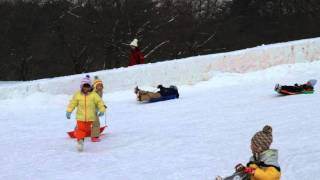 H24年いわて雪まつりそり滑り