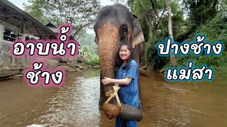 อาบน้ำช้าง | ป้อนอาหารช้าง | ปางช้างแม่สา | ม่อนแจ่ม | เที่ยวเชียงใหม่ | ใบตองพาทัวร์