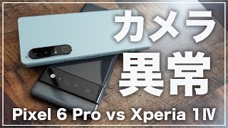 カメラが超極端な存在。Google Pixel 6 ProとXperia 1Ⅳ徹底比較レビュー