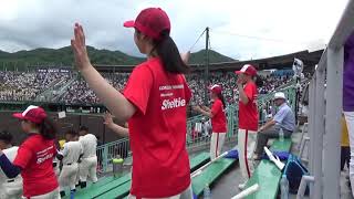 20190720shelties夏野球応援最終版・・・